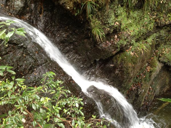 c0115660_20153346.jpg