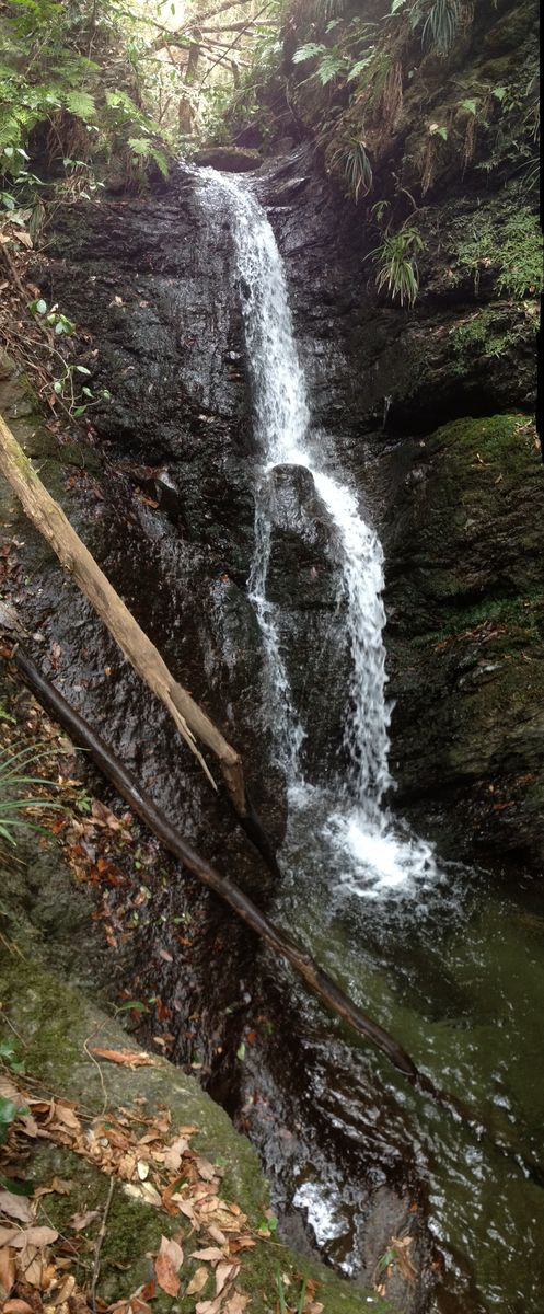 c0115660_20173245.jpg