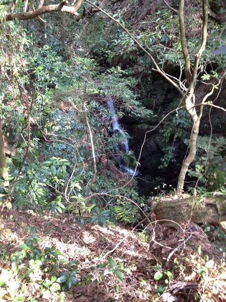 c0115660_20224681.jpg