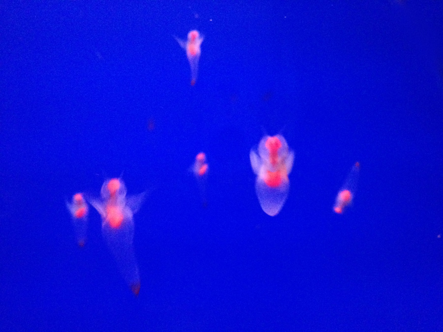 f0021369_20384978.jpg