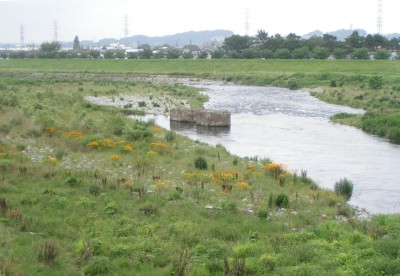 c0112172_0541557.jpg