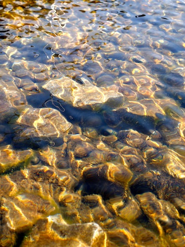 a0232774_122965.jpg