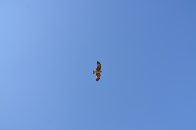 c0268774_043065.jpg