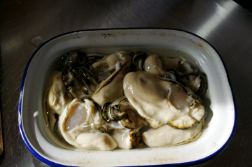 f0054677_814633.jpg