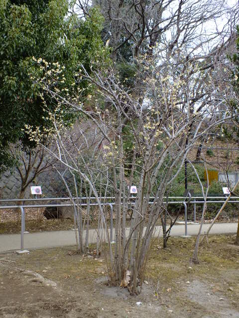 e0145782_19314623.jpg