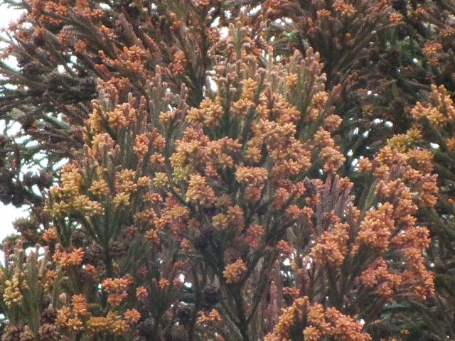 e0145782_1954780.jpg