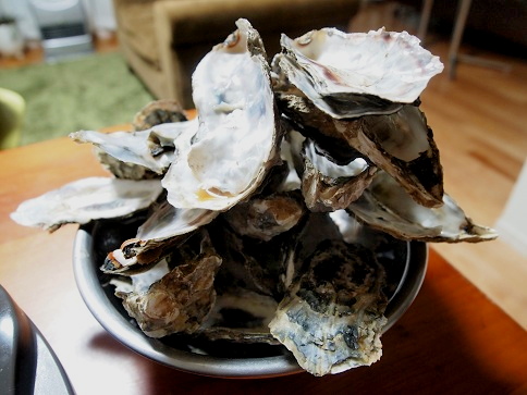 a0258686_21384770.jpg