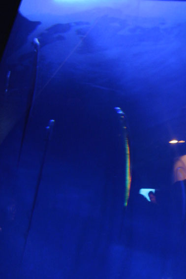 f0222692_165325.jpg