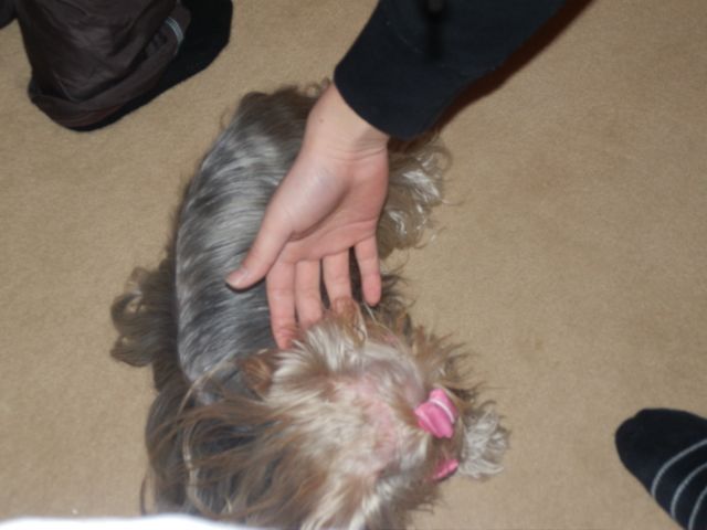 f0130894_22292337.jpg