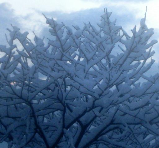 f0236201_863797.jpg