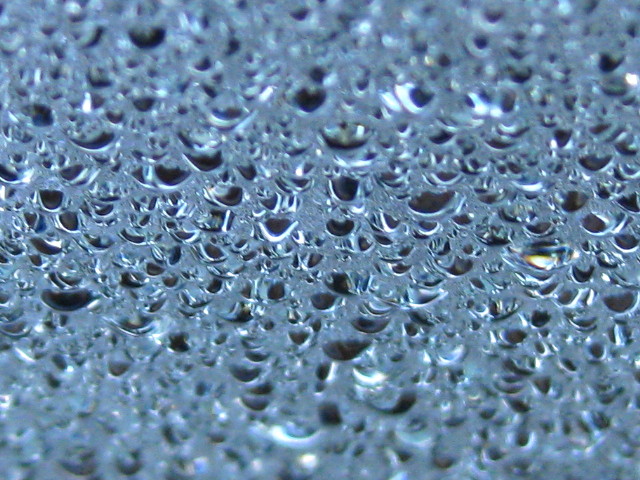f0236201_874179.jpg