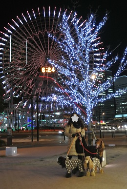 a0134004_14521337.jpg