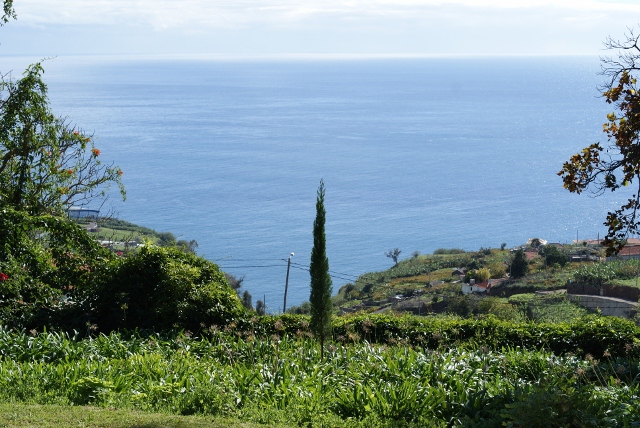 f0144707_2293225.jpg