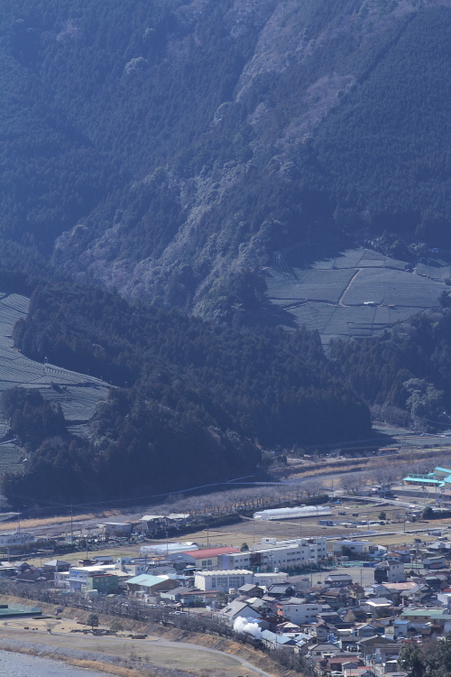 b0190710_23165750.jpg