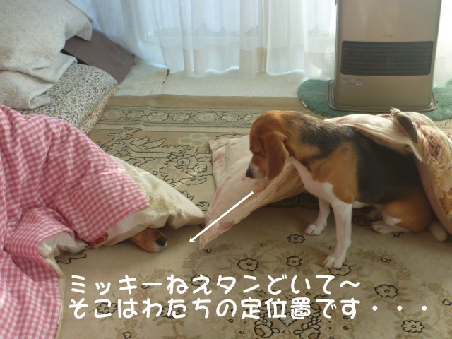 c0166622_9373619.jpg