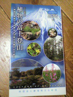 f0036223_2041867.jpg