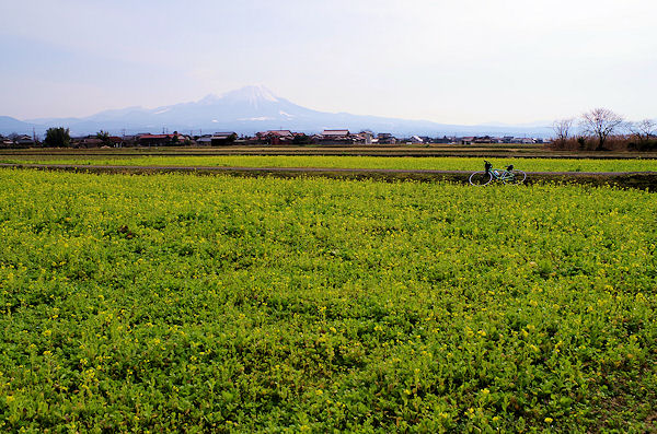 f0007926_11223069.jpg