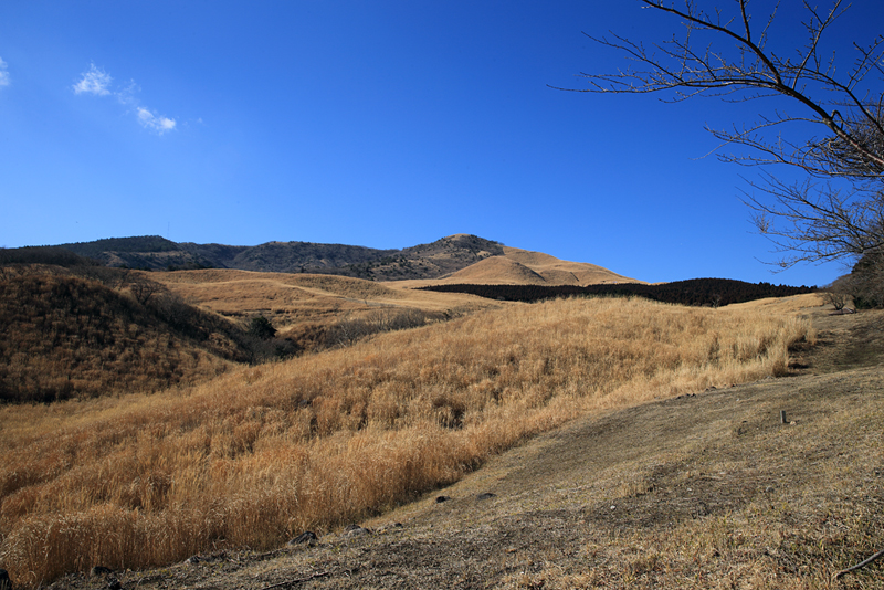 d0289733_21262668.jpg