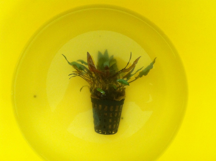 c0250835_1603799.jpg