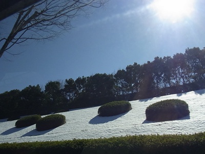 3度目の雪