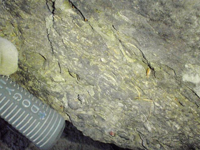 e0290546_2010045.jpg