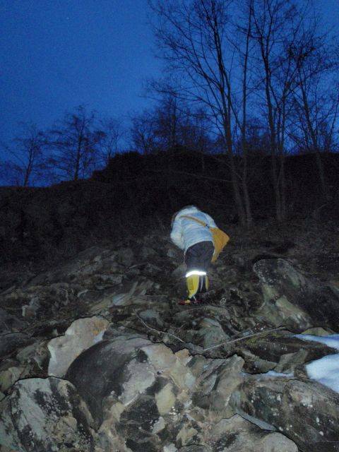 e0290546_2010247.jpg