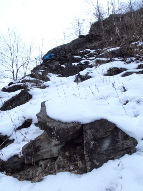 e0290546_209521.jpg