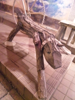 f0013255_22104335.jpg