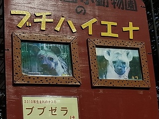 b0185771_21342694.jpg