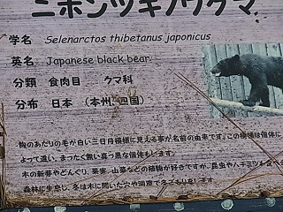 b0185771_21405221.jpg