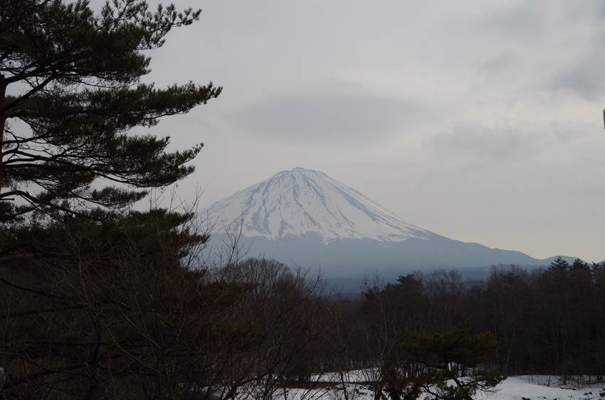 d0031171_12415115.jpg