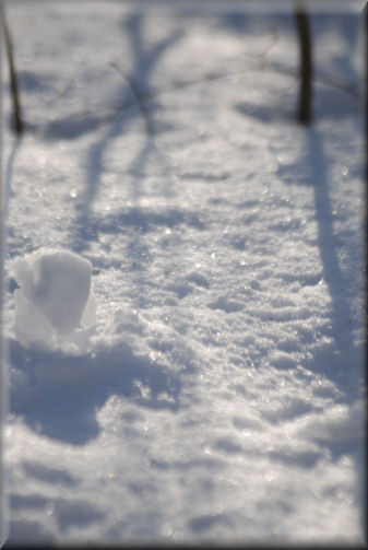 e0099375_1642072.jpg