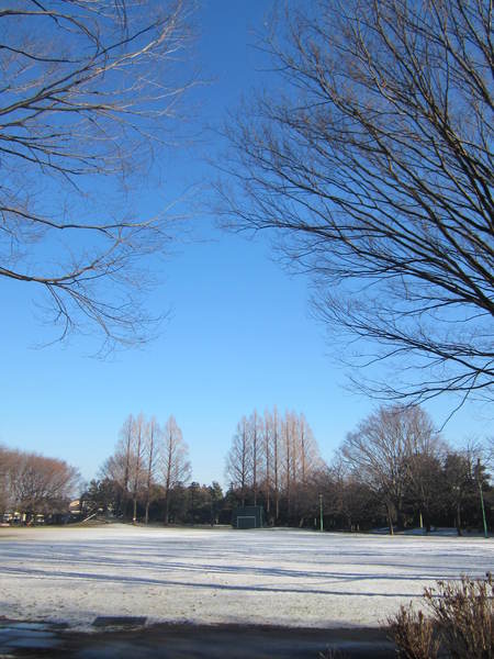 d0264176_19274377.jpg