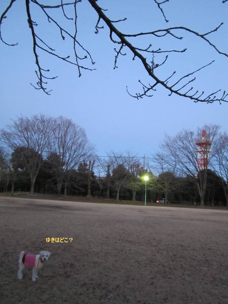 d0264176_19322641.jpg