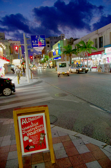 e0079696_8505916.jpg