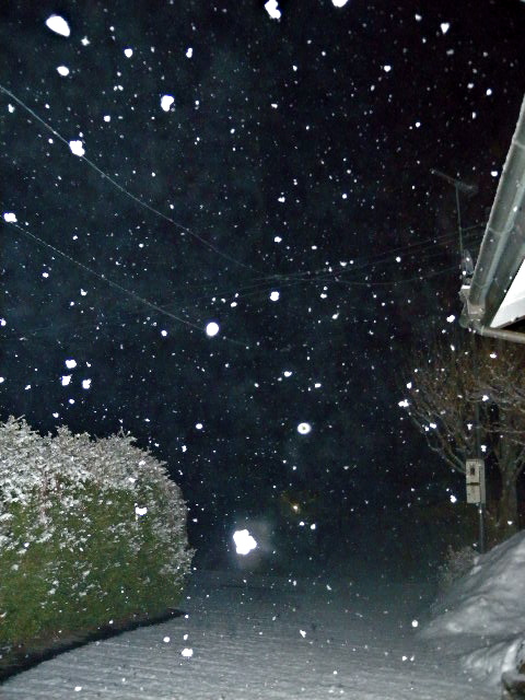 a0199297_19401813.jpg