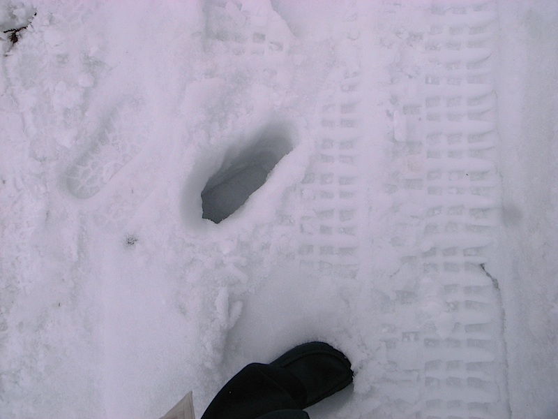 f0108399_7415371.jpg