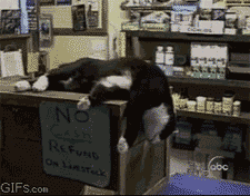 c0072801_1154191.gif