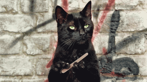 c0072801_1155912.gif