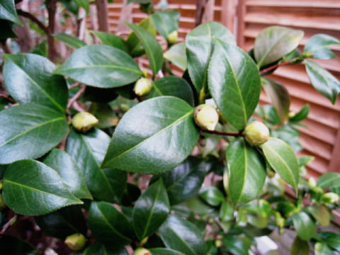 d0046702_18204382.jpg