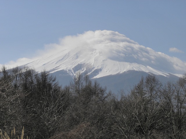 a0212807_1214596.jpg