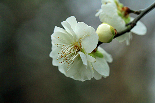 b0014607_1855570.jpg