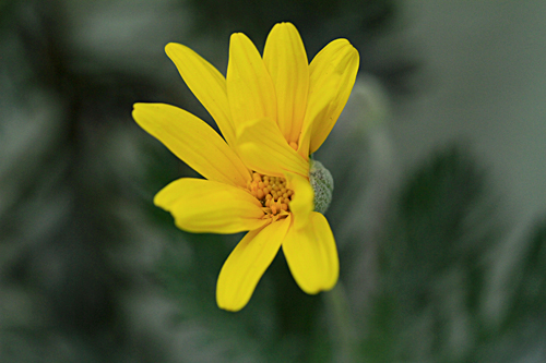 b0014607_1921693.jpg