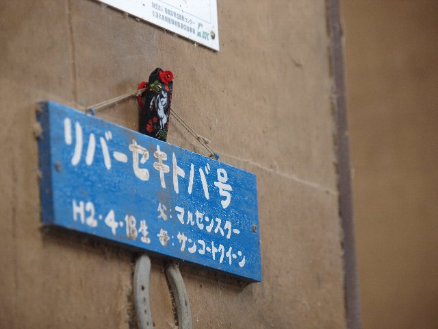b0187620_22251656.jpg