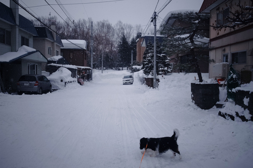 c0051132_20344147.jpg