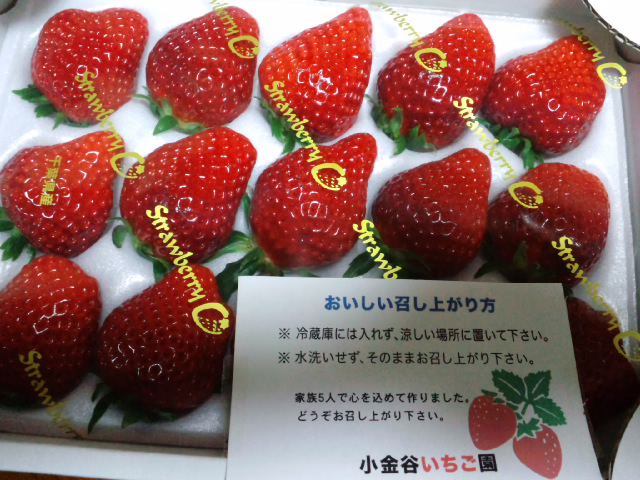 c0125637_2254877.jpg