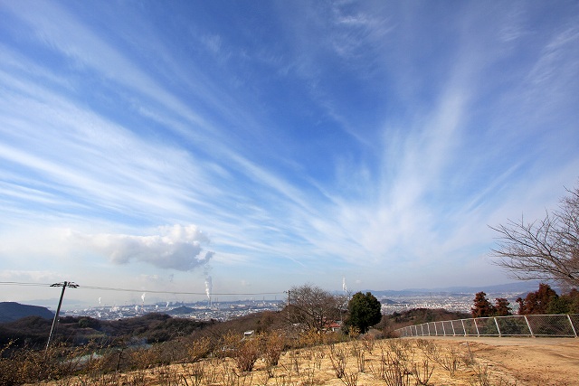 a0242438_20255486.jpg