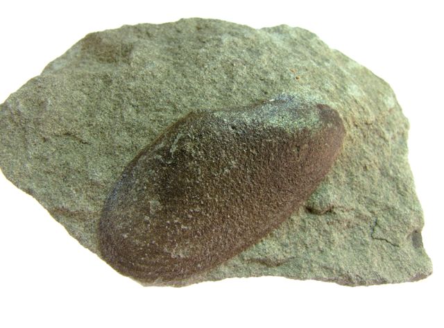 e0290546_18374996.jpg