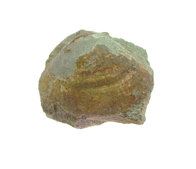 e0290546_18375492.jpg