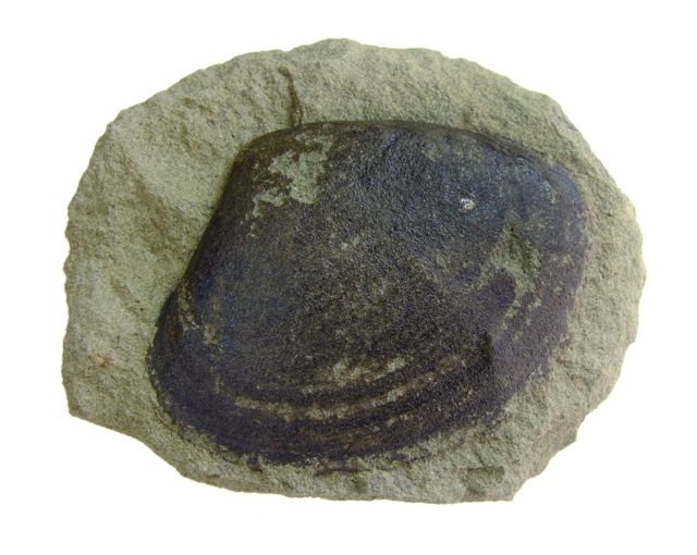 e0290546_18381010.jpg